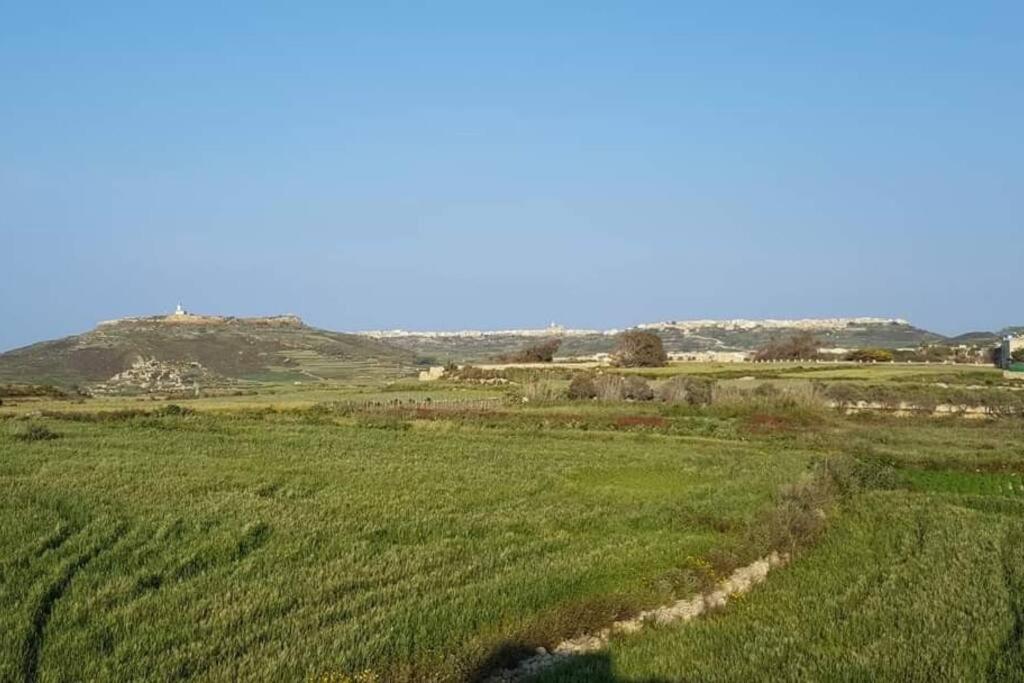 With Large Pool And Garden In Gozo Villa